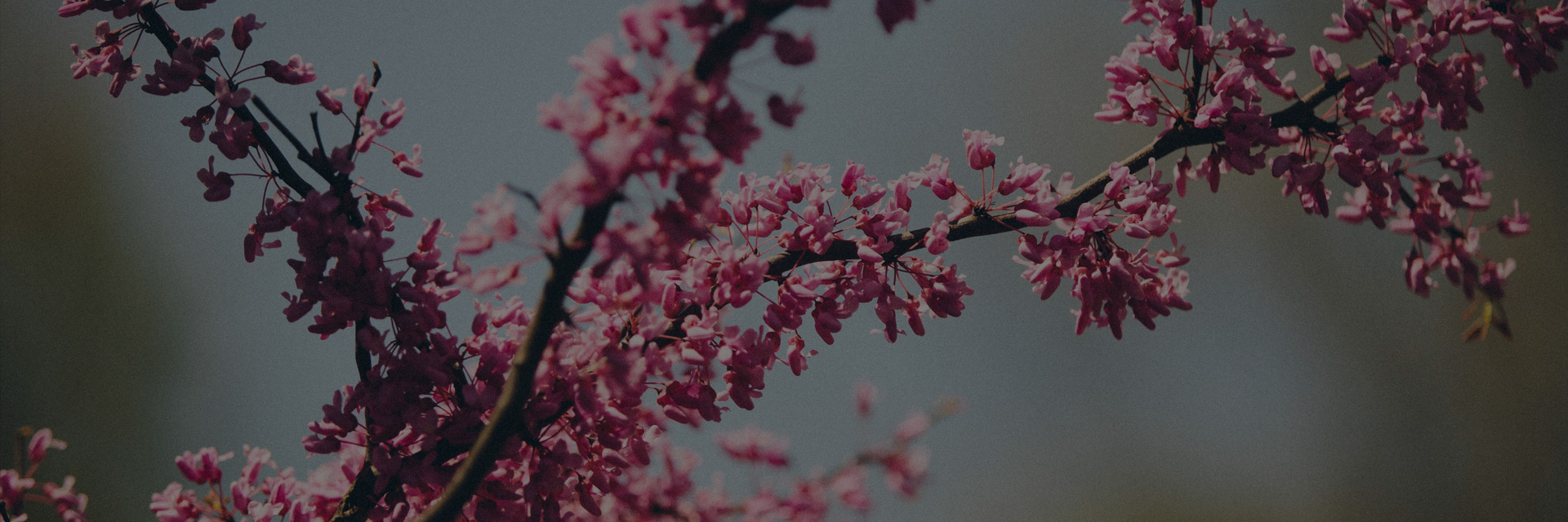 Vivre Autrement à Paris 2026 Parc Floral